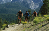 Bike Tour