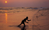 Chinese Fishing Net - Cochin