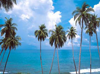 Goa